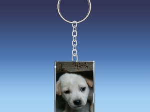 Puppy Keychain